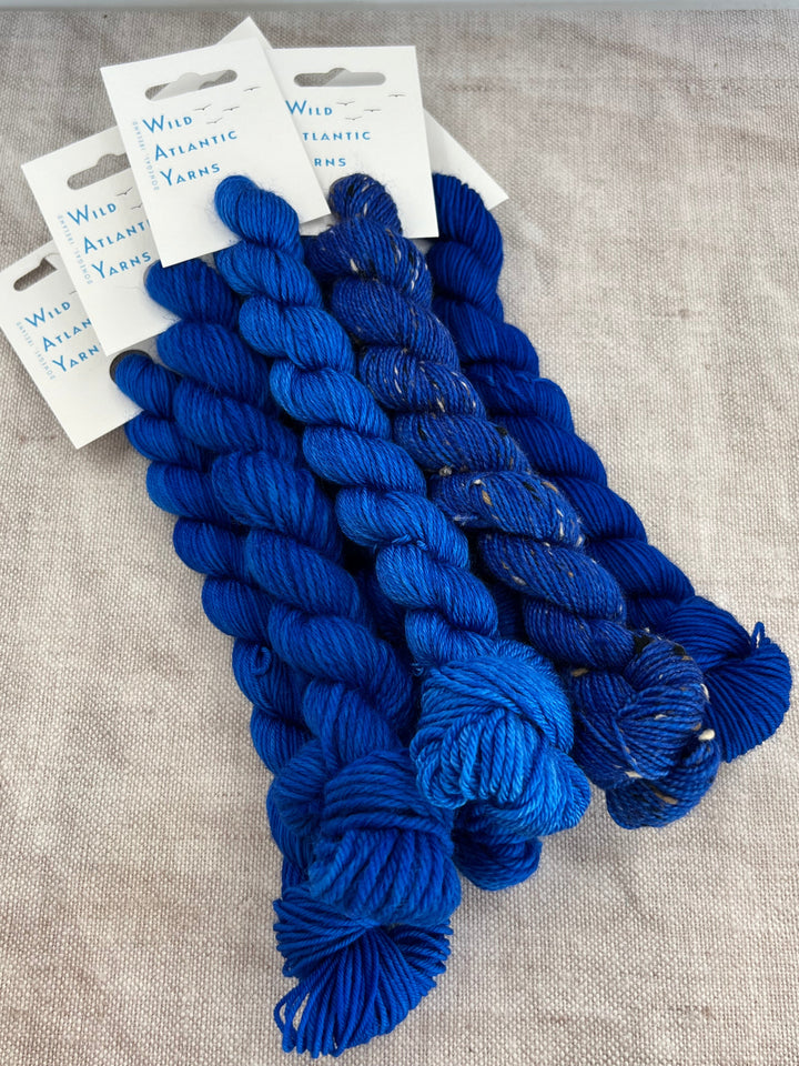 20g MINI SKEIN: Atlantic - YARN - Wild Atlantic Yarns