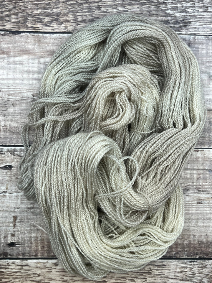 MACHA (BFL) - Silver Birch