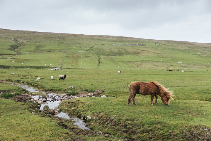 Grand Shetland Adventure Knits by Mary Jane Mucklestone & Gudrun Johnston - BOOKS - Wild Atlantic Yarns